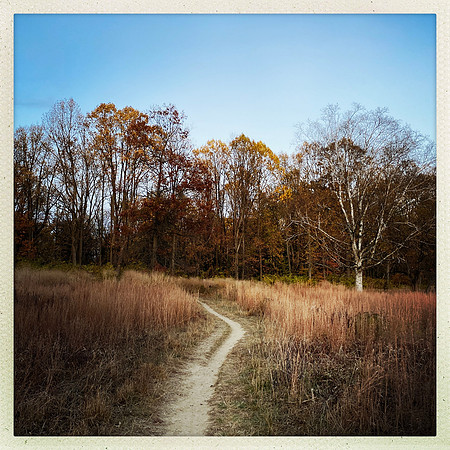 fine art photography