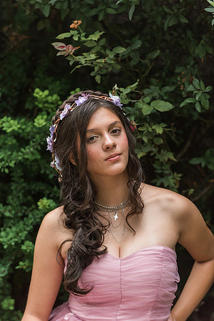 Violet's Sweet 16 Midnight Garden Party
