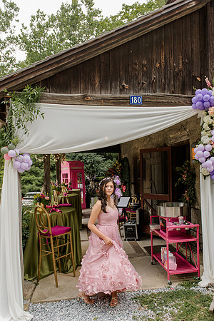 Violet's Sweet 16 Midnight Garden Party