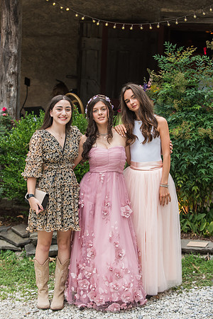 Violet's Sweet 16 Midnight Garden Party