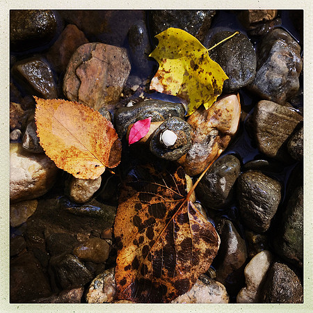 fine art photography
