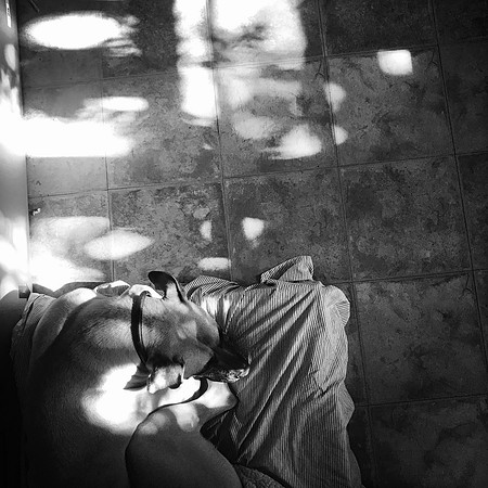 fine art photography