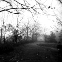 fine art photography
