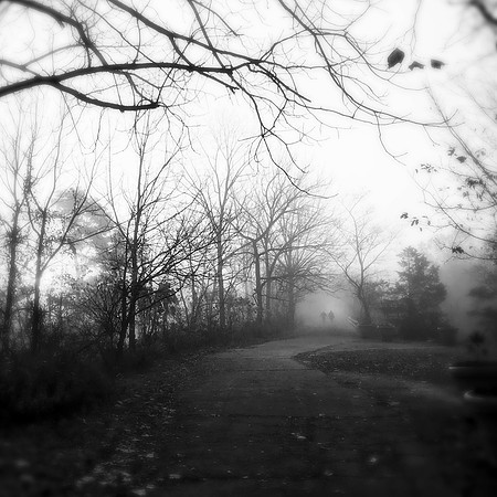 fine art photography