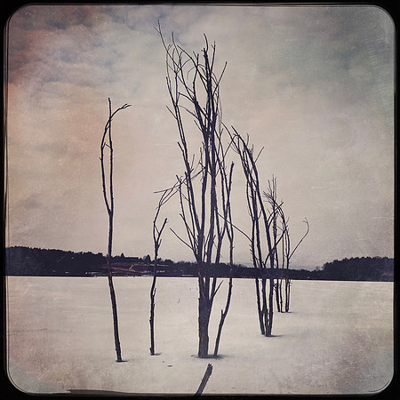 fine art photography