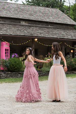 Violet's Sweet 16 Midnight Garden Party