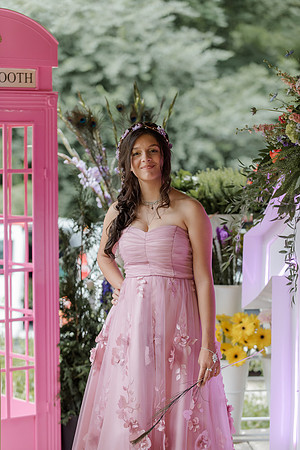 Violet's Sweet 16 Midnight Garden Party