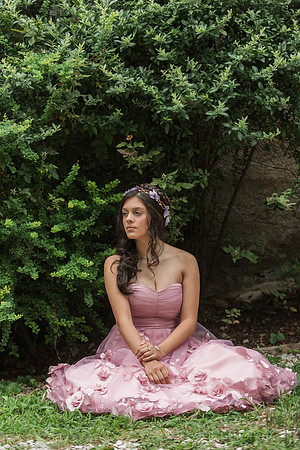 Violet's Sweet 16 Midnight Garden Party