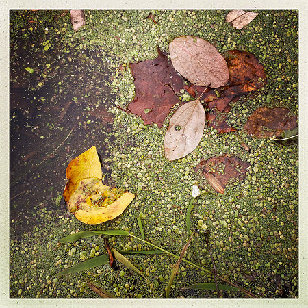 fine art photography