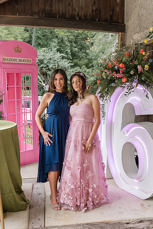 Violet's Sweet 16 Midnight Garden Party
