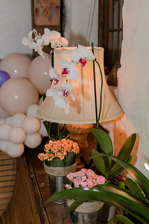 Violet's Sweet 16 Midnight Garden Party