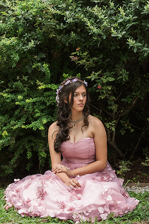 Violet's Sweet 16 Midnight Garden Party