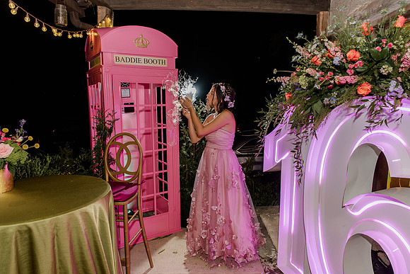 Violet's Sweet 16 Midnight Garden Party