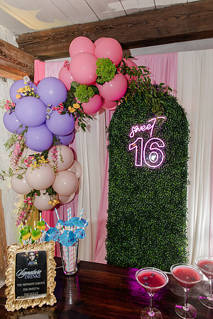 Violet's Sweet 16 Midnight Garden Party