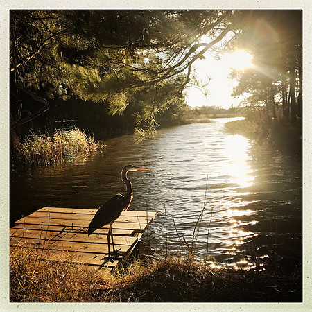 fine art photography