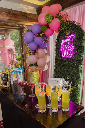 Violet's Sweet 16 Midnight Garden Party
