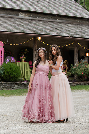 Violet's Sweet 16 Midnight Garden Party