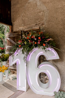 Violet's Sweet 16 Midnight Garden Party