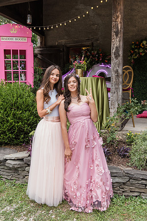 Violet's Sweet 16 Midnight Garden Party