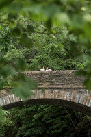 Nikki and Raul engagement session