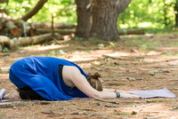 Jana yoga book