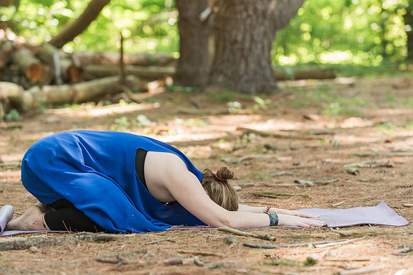 Jana yoga book