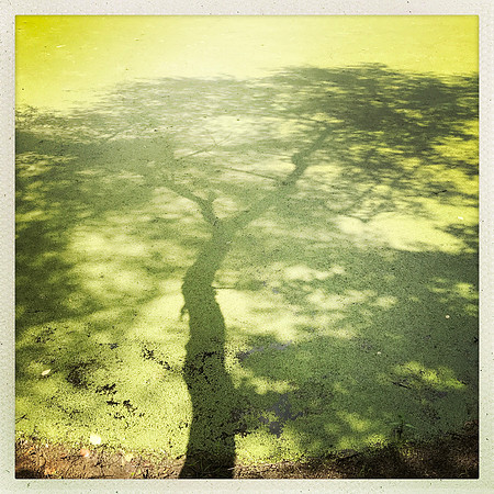 fine art photography