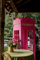 Violet's Sweet 16 Midnight Garden Party