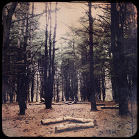 fine art photography
