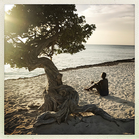 fine art photography