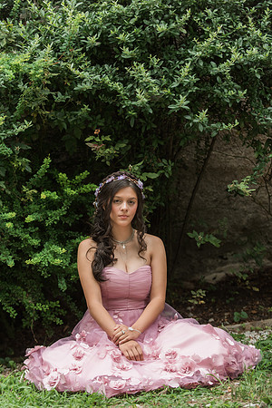 Violet's Sweet 16 Midnight Garden Party