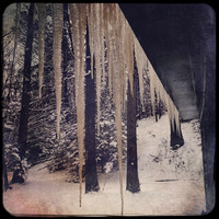 fine art photography