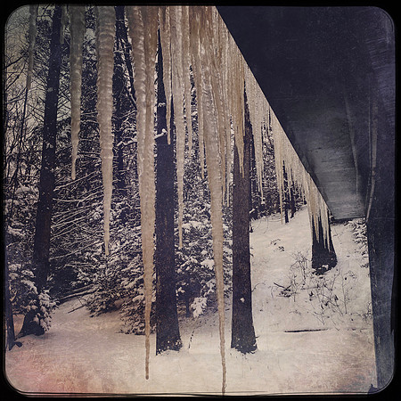 fine art photography