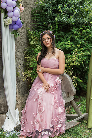 Violet's Sweet 16 Midnight Garden Party