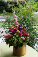 Violet's Sweet 16 Midnight Garden Party