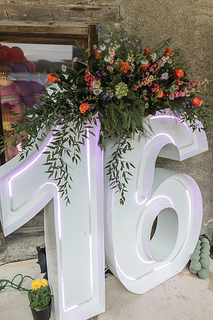 Violet's Sweet 16 Midnight Garden Party