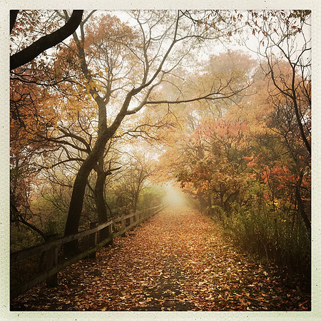 fine art photography