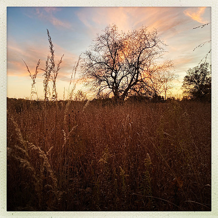 fine art photography