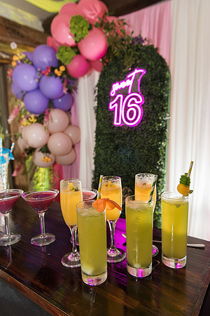 Violet's Sweet 16 Midnight Garden Party