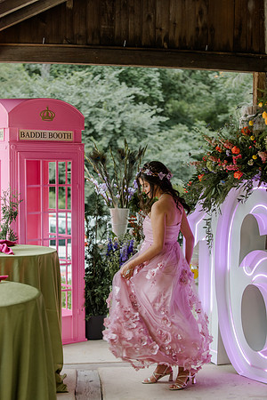 Violet's Sweet 16 Midnight Garden Party
