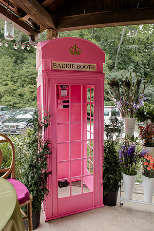 Violet's Sweet 16 Midnight Garden Party