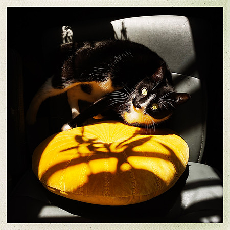 fine art photography
